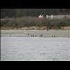 IMG_6565
3/21/2007 1:52:19 PM